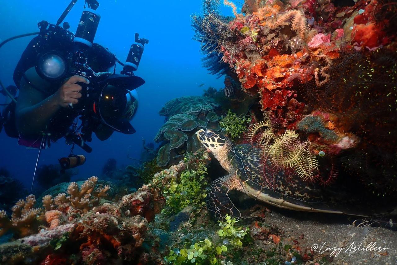 La Tortue Diving Resort Dauin Exterior foto