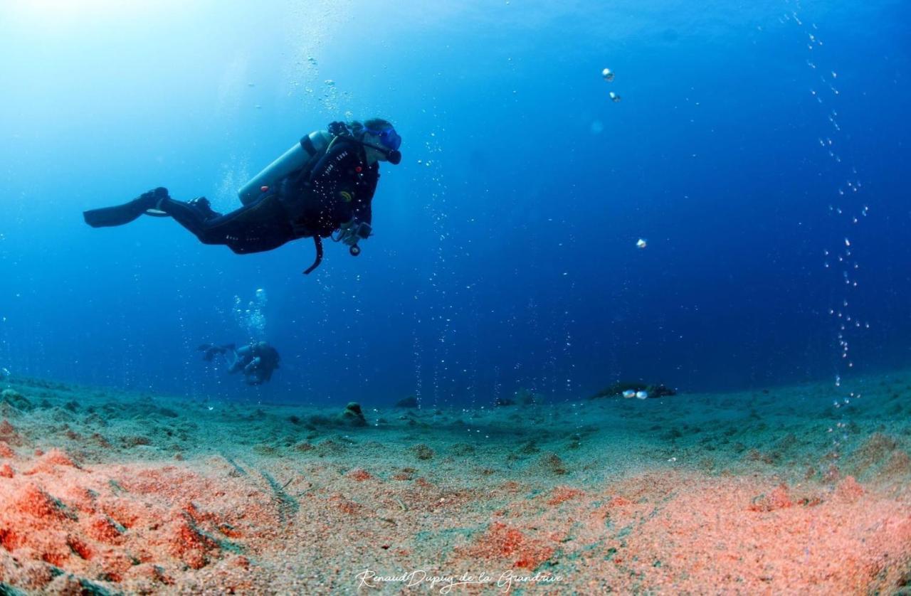 La Tortue Diving Resort Dauin Exterior foto